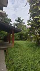 Henry Park (D10), Terrace #474494001